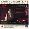 ţţХ쥳 7inchۡڥۥ˥ޥ롦ʥȥ饤(Animal Nightlife)/ε