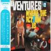 ţ̣Х쥳 12inchۡڥ١ۥ٥㡼(Ventures)/