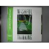 ţ̣Х쥳 12inchۡڥۥåե롦󥭥(Wishful Thunking)/åե롦󥭥(Wishful Thunking)