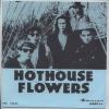 ţţХ쥳 7inchۡڥۡۥۥåȥϥե(Hothouse Flowers)/ɥȡ(Don't go)