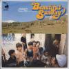 ţţХ쥳 7inchۡڥۥ˥롦֡(Daniel Boone)/ӥ塼ƥե롦ǡ(Beautiful sunday)