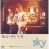 ţţХ쥳 7inchۡڥۣӣˣ(Sky)/ΤϤޤθ塿磻󡦥饤