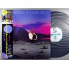 ţ̣Х쥳 12inchۡڥۥƥӡ(Stevie Wonder)/󡦥(In Square Circle)
