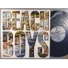 ţ̣Х쥳 12inchۡڥӡۥӡܡ(Beach Boys)/ӡܡ(The Beach Boys)