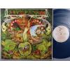 ţ̣Х쥳 12inchۡڥۥѥ㥤(Spyro Gyra)/⡼˥󥰡(Morning Dance)