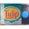 ţ̣Х쥳 12inchۡڥۥ塼å(Tulip)/塼åס(2)(Tulip Land)