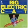 ţţХ쥳 7inchۡڥۥɥꥢ󡦥֥塼(Adrian Belew)/ӥå쥯ȥåå